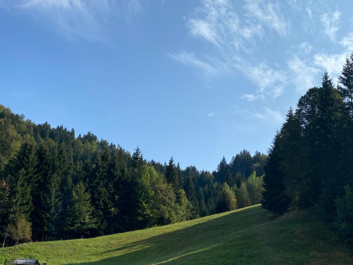 Apartma Jure Zgornje Gorje Exteriér fotografie