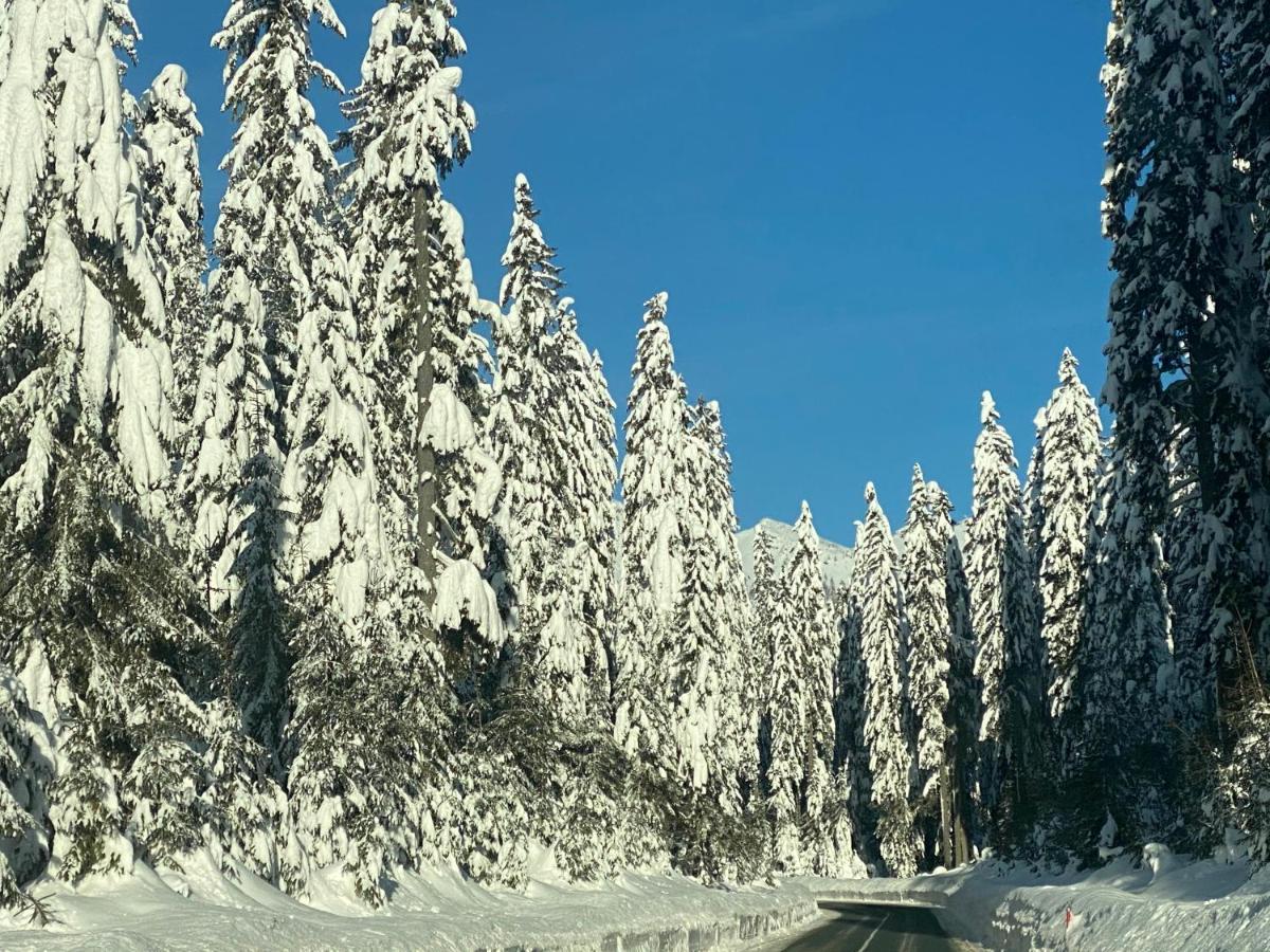 Apartma Jure Zgornje Gorje Exteriér fotografie