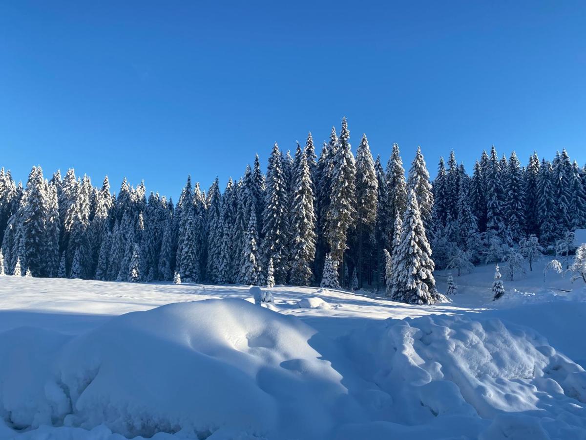 Apartma Jure Zgornje Gorje Exteriér fotografie