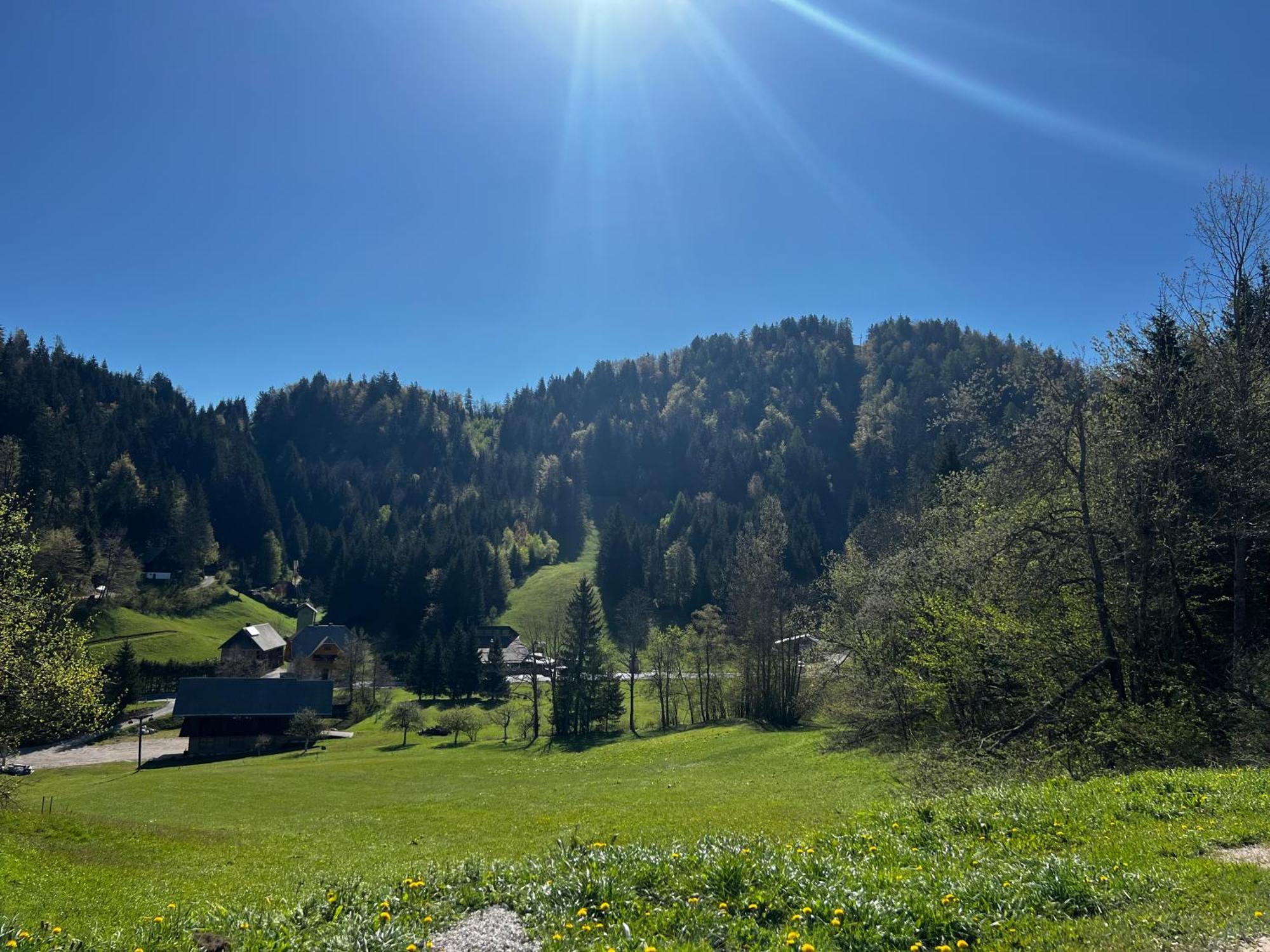 Apartma Jure Zgornje Gorje Exteriér fotografie